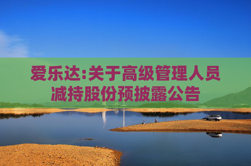 爱乐达:关于高级管理人员减持股份预披露公告