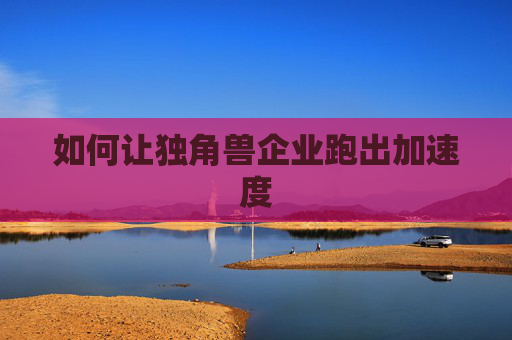 如何让独角兽企业跑出加速度  第1张