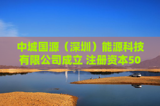 中城国源（深圳）能源科技有限公司成立 注册资本5000万人民币  第1张