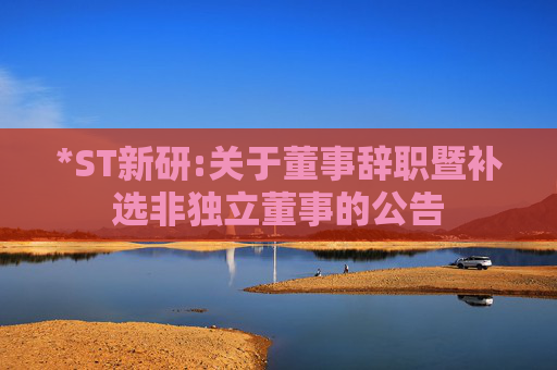 *ST新研:关于董事辞职暨补选非独立董事的公告