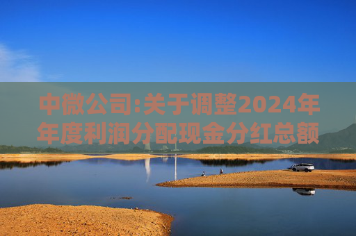 中微公司:关于调整2024年年度利润分配现金分红总额的公告