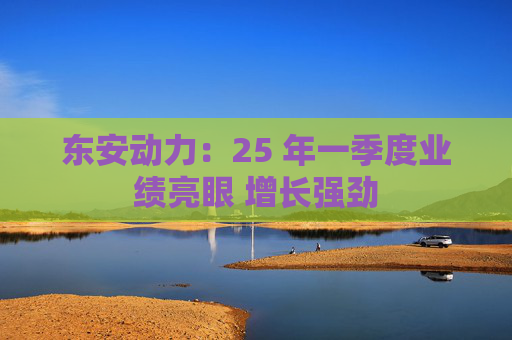 东安动力：25 年一季度业绩亮眼 增长强劲