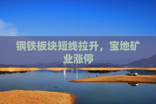 钢铁板块短线拉升，宝地矿业涨停