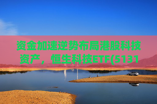 资金加速逆势布局港股科技资产，恒生科技ETF(513130)单日净流入超6亿，最新份额达378.29亿份，迭创历史新高  第1张