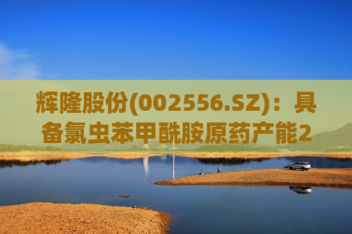 辉隆股份(002556.SZ)：具备氯虫苯甲酰胺原药产能2000吨