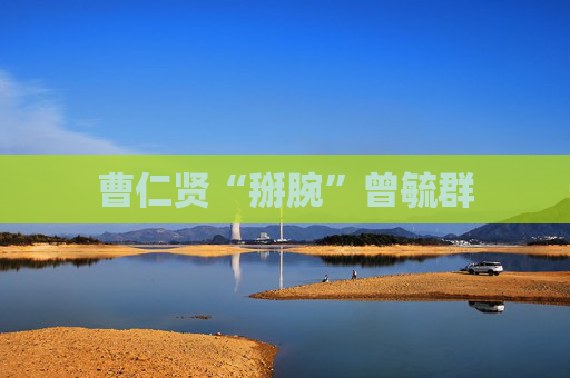 曹仁贤“掰腕”曾毓群