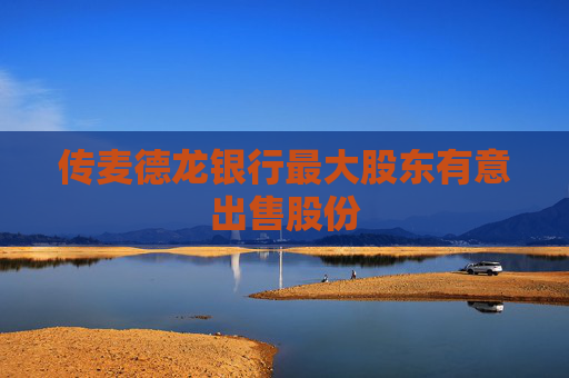传麦德龙银行最大股东有意出售股份