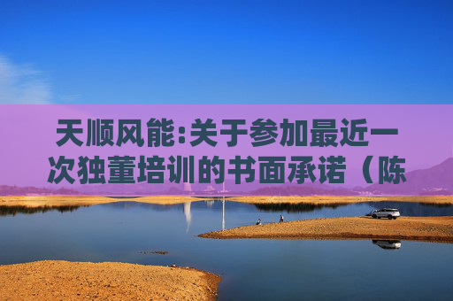 天顺风能:关于参加最近一次独董培训的书面承诺（陈增炀）