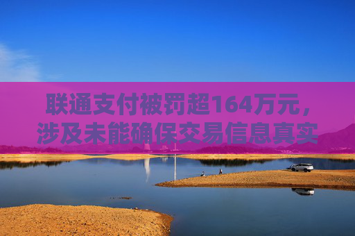 联通支付被罚超164万元，涉及未能确保交易信息真实、完整、可追溯等违法行为