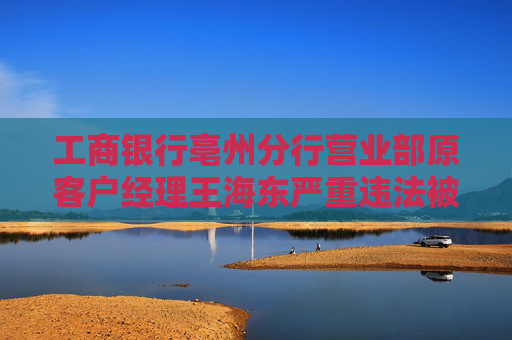 工商银行亳州分行营业部原客户经理王海东严重违法被开除公职