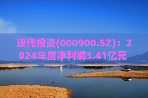 现代投资(000900.SZ)：2024年度净利润3.41亿元 拟10派1.5元