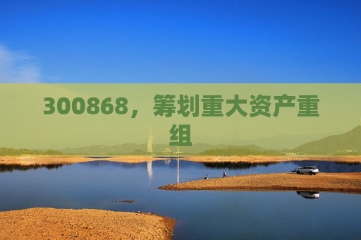 300868，筹划重大资产重组