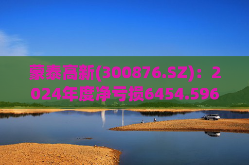 蒙泰高新(300876.SZ)：2024年度净亏损6454.596万元