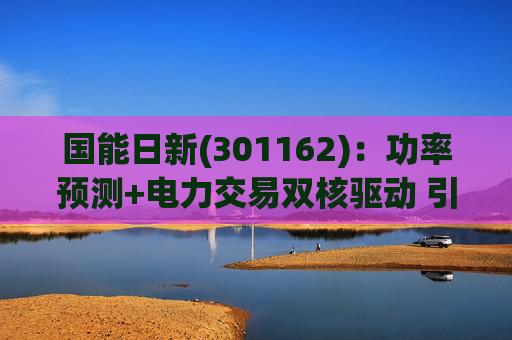 国能日新(301162)：功率预测+电力交易双核驱动 引领业绩持续高增长