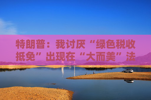 特朗普：我讨厌“绿色税收抵免”出现在“大而美”法案中