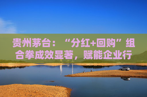 贵州茅台：“分红+回购”组合拳成效显著，赋能企业行稳致远