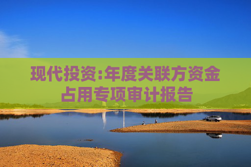 现代投资:年度关联方资金占用专项审计报告  第1张
