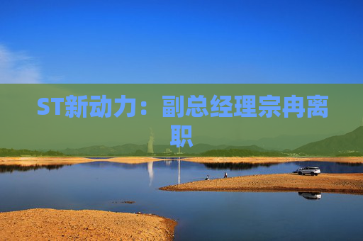 ST新动力：副总经理宗冉离职