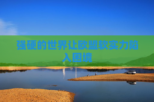 强硬的世界让欧盟软实力陷入困境