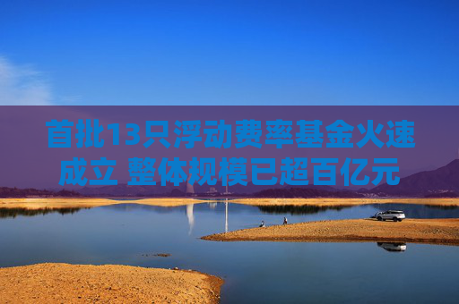 首批13只浮动费率基金火速成立 整体规模已超百亿元