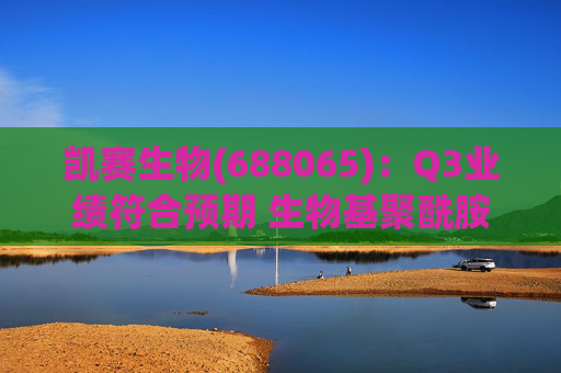 凯赛生物(688065):Q3业绩符合预期 生物基聚酰胺复材商业化持续推进