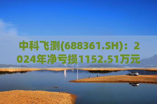 中科飞测(688361.SH)：2024年净亏损1152.51万元