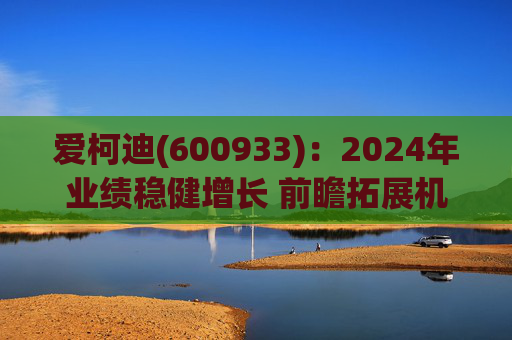 爱柯迪(600933):2024年业绩稳健增长 前瞻拓展机器人相关业务 第1张 爱柯迪(600933):2024年业绩稳健增长 前瞻拓展机器人相关业务 第1张