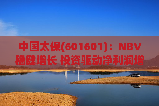中国太保(601601)：NBV稳健增长 投资驱动净利润增速提升