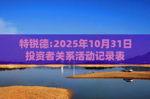 特锐德:2025年10月31日投资者关系活动记录表