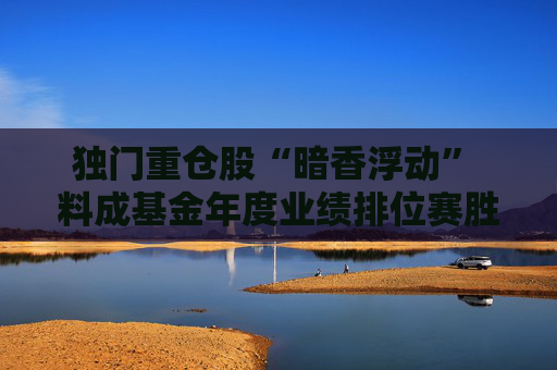 独门重仓股“暗香浮动” 料成基金年度业绩排位赛胜负手