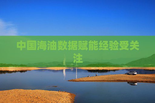 中国海油数据赋能经验受关注