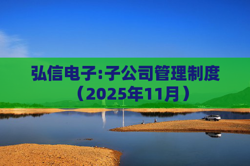 弘信电子:子公司管理制度(2025年11月)