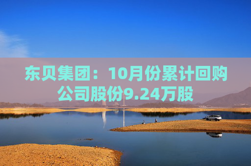 东贝集团：10月份累计回购公司股份9.24万股