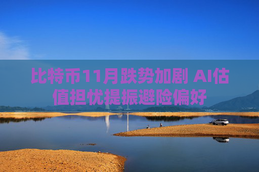 比特币11月跌势加剧 AI估值担忧提振避险偏好