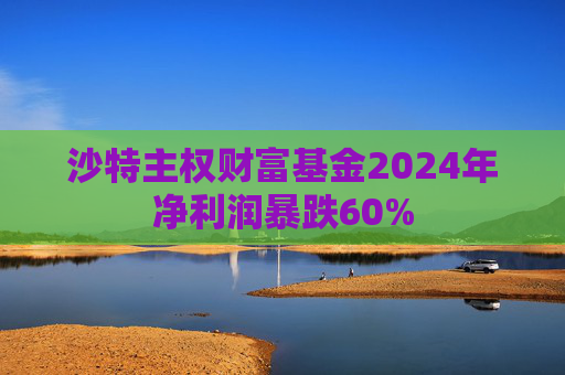 沙特主权财富基金2024年净利润暴跌60%