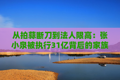 从拍蒜断刀到法人限高：张小泉被执行31亿背后的家族企业治理黑洞  第1张