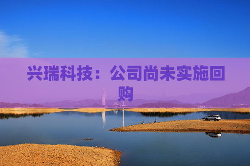 兴瑞科技:公司尚未实施回购