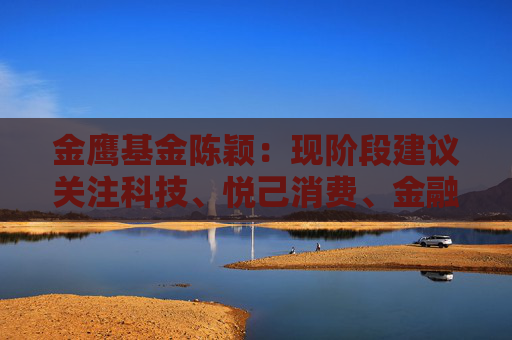 金鹰基金陈颖：现阶段建议关注科技、悦己消费、金融等方向  第1张