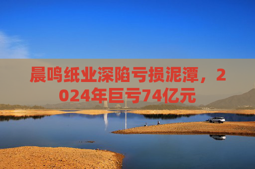 晨鸣纸业深陷亏损泥潭，2024年巨亏74亿元