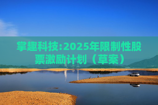 掌趣科技:2025年限制性股票激励计划(草案)