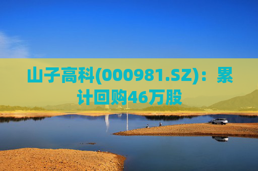 山子高科(000981.SZ)：累计回购46万股