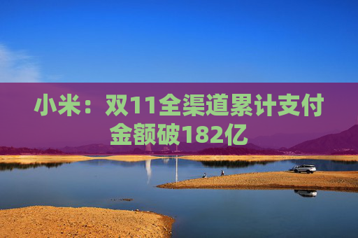 小米：双11全渠道累计支付金额破182亿