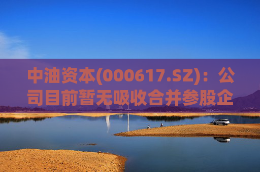 中油资本(000617.SZ)：公司目前暂无吸收合并参股企业昆仑资本的计划