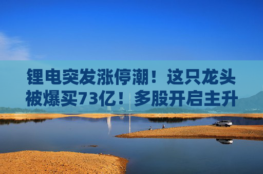 锂电突发涨停潮!这只龙头被爆买73亿!多股开启主升浪