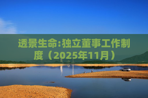 透景生命:独立董事工作制度（2025年11月）