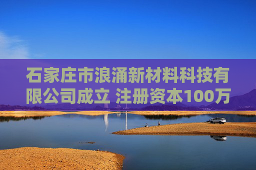 石家庄市浪涌新材料科技有限公司成立 注册资本100万人民币