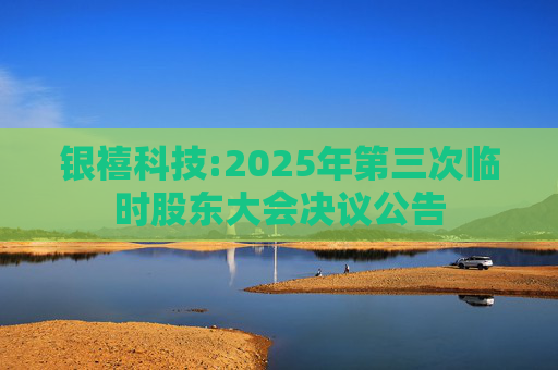 银禧科技:2025年第三次临时股东大会决议公告
