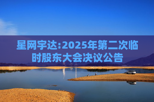 星网宇达:2025年第二次临时股东大会决议公告