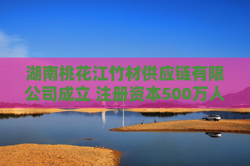湖南桃花江竹材供应链有限公司成立 注册资本500万人民币