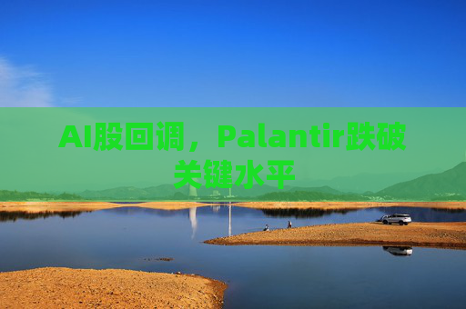 AI股回调，Palantir跌破关键水平